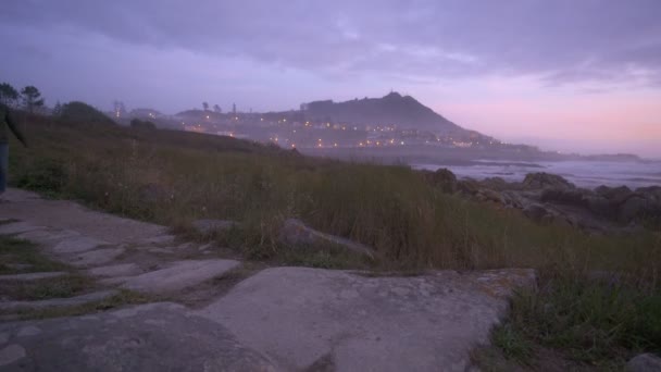 Frau Geht Mit Hund Guarda Schöne Meereslandschaft Felsstrand Mit Stadt — Stockvideo