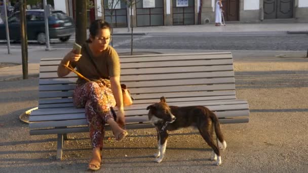 Femme Assise Sur Banc Avec Chien Coucher Soleil Guimaraes Portugal — Video