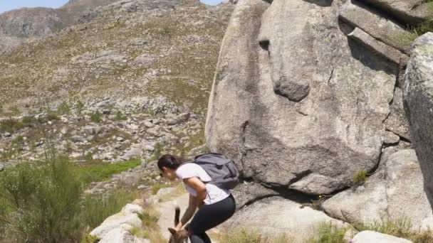 Жінка Ходить Природі Собакою Національному Парку Ґерес Португалія — стокове відео