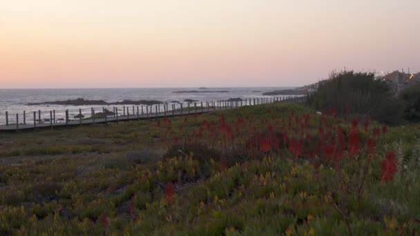 Vila Cha Spiaggia Vicino Porto Tramonto Portogallo — Video Stock