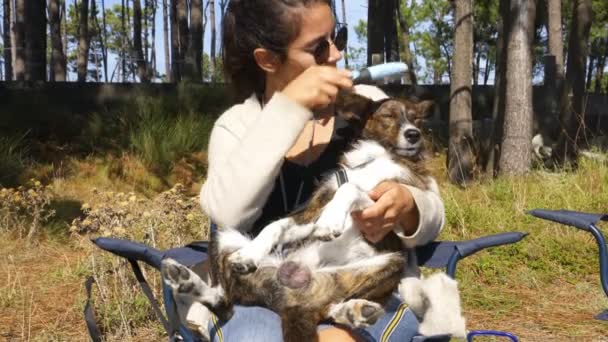 Frau Pflegt Entspanntes Hundefellhaar Und Massiert Kopf Bei Sonnigem Wetter — Stockvideo