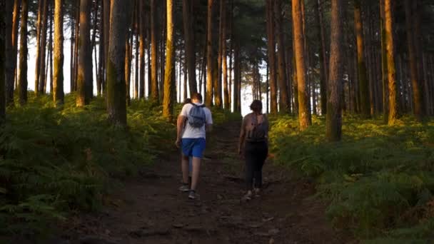 Люди Гуляют Природе Посреди Деревьев Лесу Закате Португалии — стоковое видео