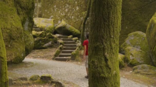 Άνθρωπος Περπατώντας Στο Ιερό Santuario Penha Στο Guimaraes Πορτογαλία — Αρχείο Βίντεο