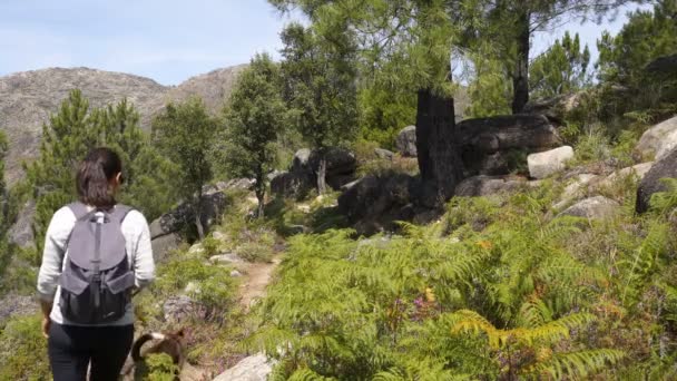Randonnée Pédestre Femme Dans Nature Paysage Avec Chien Dans Parc — Video