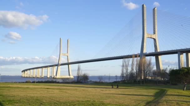 Ponte Vasco Gama Utsikt Över Bron Från Trädgårdspark Dagen — Stockvideo