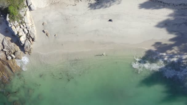 楽園の上のドローン上の空中ビューアロサ島ターコイズブルーの水とスペインの海の美しいビーチの風景に泳いでいる人々 — ストック動画