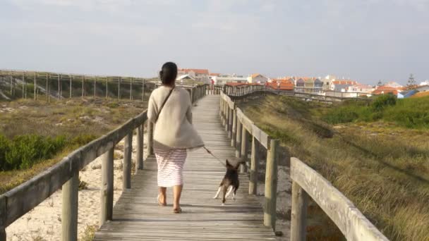 ポルトガルのコスタ ノヴァ アヴェイロのビーチ ウッド パス近くの犬と歩く白人女性 — ストック動画
