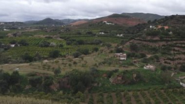 Portekiz, Tavira Algarve 'de Laranjeira Orange Trees insansız hava aracı görüntüsü