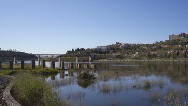 Άποψη Της Πόλης Abrantes Τον Ποταμό Guadiana Στην Πορτογαλία — Αρχείο Βίντεο