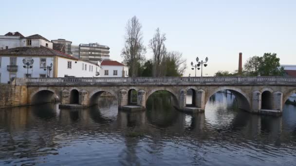 Widok Miasta Tomar Rzeką Nabao Portugalia — Wideo stockowe
