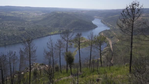 Portas Rodao Paisagem Vila Velha Rodao Portugal — Vídeo de Stock