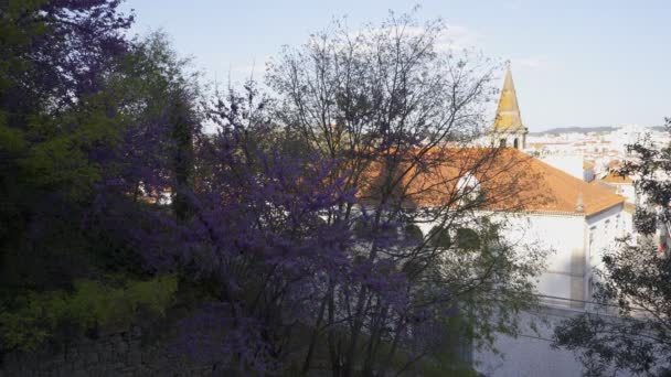 Igreja Sao Joao Βαπτιστική Εκκλησία Στο Tomar Πορτογαλία — Αρχείο Βίντεο