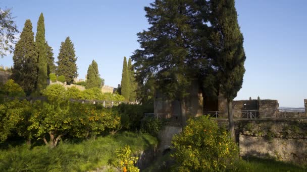 Сад Монастыре Convento Cristo Christ Томаре Португалия — стоковое видео