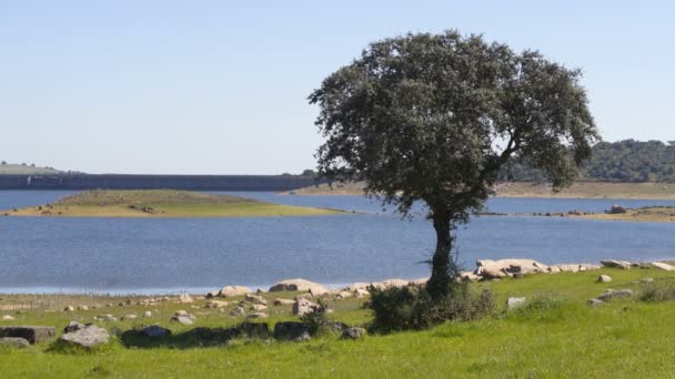 Barragem Caia Dam Alentejo Portugal — стокове відео