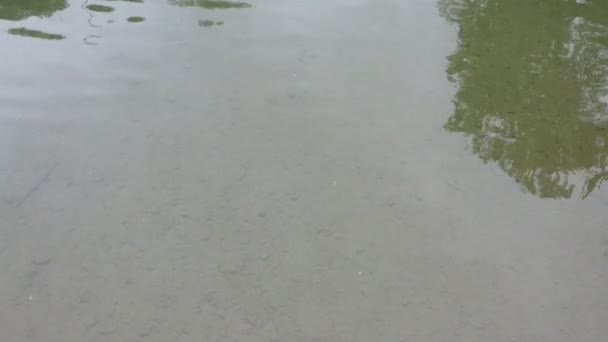 Pego do Inferno cascade drone vue aérienne à Tavira Algarve, Portugal 