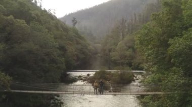 İspanya, Fragas do Eume 'de vahşi bir ağaç manzarasında bir köprüde köpekle bir çiftin insansız hava panoramik görüntüsü.