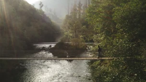 Drone Vista Panorámica Aérea Hombre Puente Paisaje Natural Árboles Salvajes — Vídeos de Stock