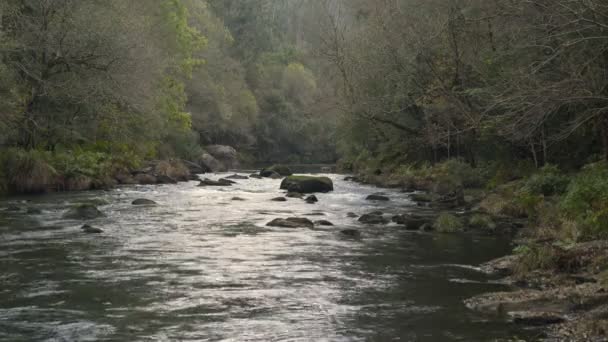 Beautiful River Green Yellow Brown Landscape Forest Rocks Water Sunrise — Stock Video