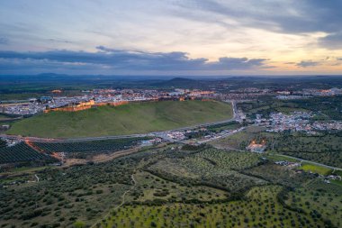 Elvas şehri insansız hava aracının panoramik manzarası. Portekiz 'deki Alentejo' nun güzel yeşil manzarası.