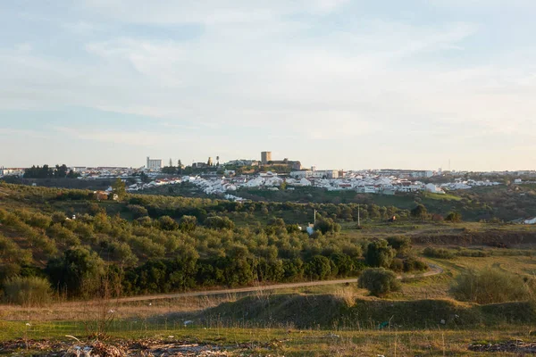 Widok Miasto Moura Drzewami Oliwnymi Pierwszym Planie Alentejo Portugalia — Zdjęcie stockowe