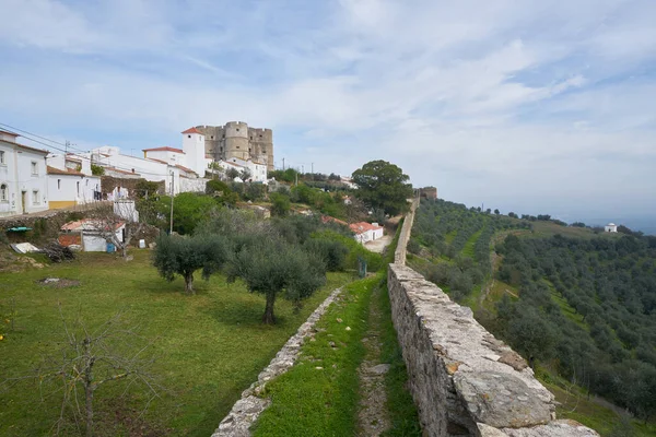 Evoramonte Város Vár Fala Történelmi Épületek Olajfák Park Alentejo Portugália — Stock Fotó