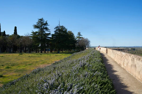 Badajoz Hermoso Castillo Árabe Con Jardín España — Foto de Stock