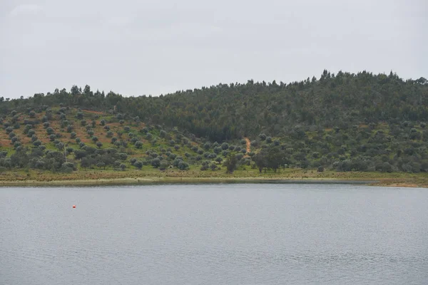 Paisaje Embalse Del Lago Presa Alqueva Con Árboles Alentejo Portugal — Foto de Stock