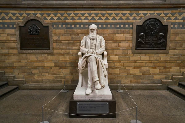 Statua Charles Darwin Nel Museo Storia Naturale Londra Inghilterra — Foto Stock