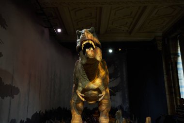 Dinozor Ulusal Tarih Müzesi