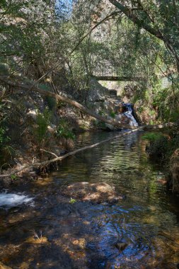 Portekiz, Vila de Rei 'deki Penedo Furado Passadico geçidinde güzel bir şelale.