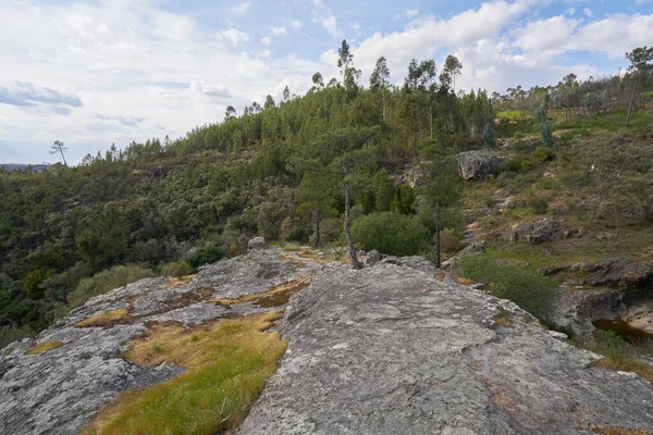 Vila Rei Paisaje Hermoso Paisaje Natural Con Cascadas Árboles Verdes — Foto de Stock