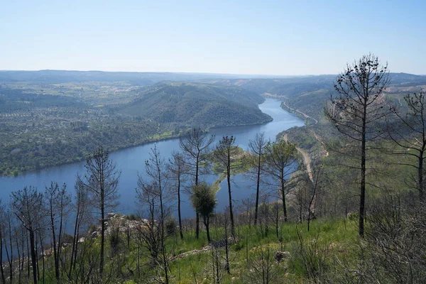 Portas Rodao Paisaje Naturaleza Vila Velha Rodao Portugal — Foto de Stock