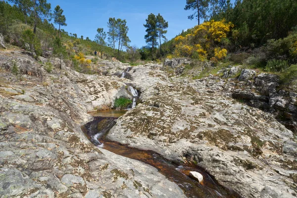 Vila Rei Paisaje Hermoso Paisaje Natural Con Cascadas Árboles Verdes — Foto de Stock