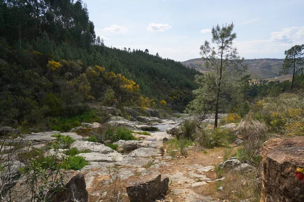 Vila Rei Paisaje Hermoso Paisaje Natural Con Cascadas Árboles Verdes — Foto de Stock