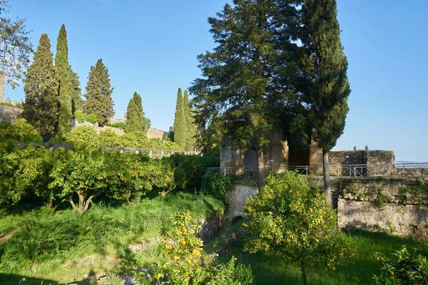 Jardín Convento Cristo Christ Convent Tomar Portugal — Foto de Stock