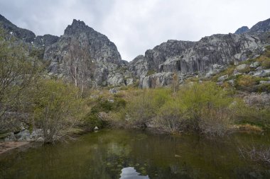 Serra da Estrela, Portekiz 'deki Covao d Ametade' deki manzara dağları ve ağaçlar
