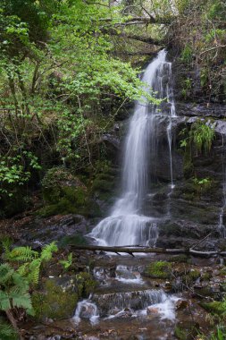 Portekiz 'in Gondramaz köyünde şelale