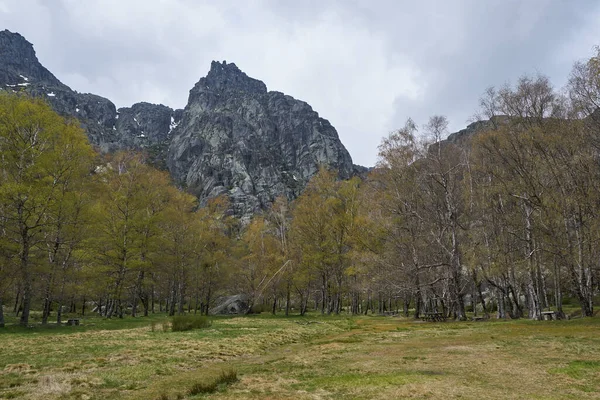 Montanhas Árvores Covao Ametade Serra Estrela Portugal — Fotografia de Stock