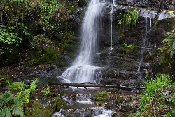 Cascade Dans Village Gondramaz Schist Portugal — Photo