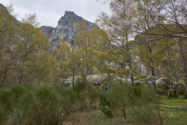 Montañas Árboles Paisaje Covao Ametade Serra Estrela Portugal — Foto de Stock