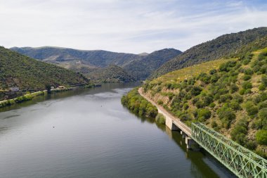 Douro demiryolu köprüsü Ferradosa, Portekiz 'deki nehir şarabı bölgesinin hava görüntüsü