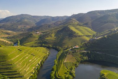 Douro nehri şarap vadisi bölgesi insansız hava aracı görüntüsü, Portekiz 'de