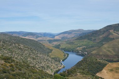 Portekiz 'de Douro Nehri Şarap Vadisi Bölgesi