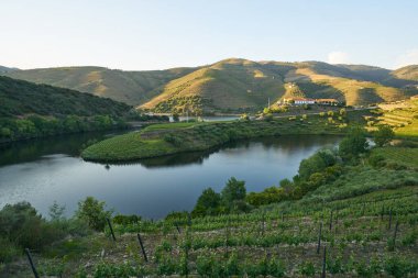 Douro şarap vadisi bölgesinin şekil kıvrımlı nehri Quinta do Tedo 'da gün batımında, Portekiz' de