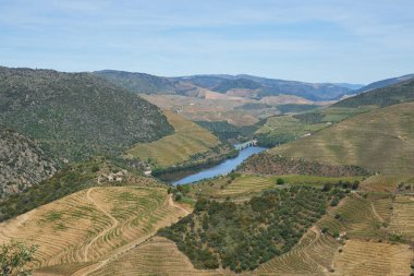 Portekiz 'de Douro Nehri Şarap Vadisi Bölgesi