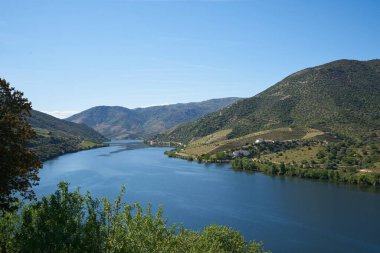 Portekiz 'de Douro Nehri Şarap Vadisi Bölgesi