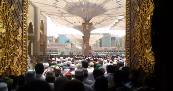 Muslims praying inside haram Masjid (mosque) Nabawi in Al Madinah, Saudi Arabia — Stockvideo