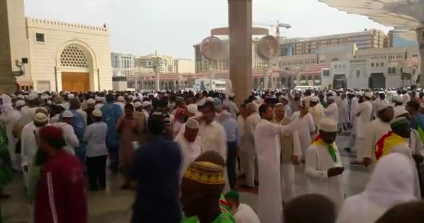 Musulmans priant à l'intérieur du haram Masjid (mosquée) Nabawi à Al Madinah, Arabie Saoudite — Video