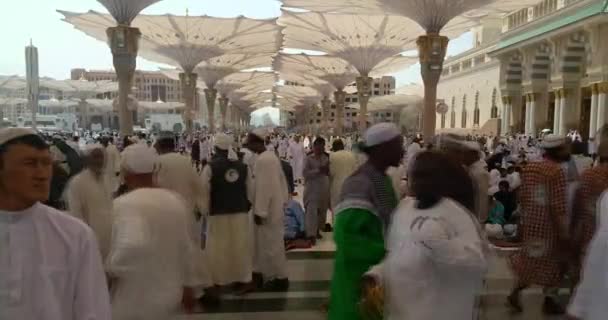 Muslims praying inside haram Masjid (mosque) Nabawi in Al Madinah, Saudi Arabia — Stockvideo