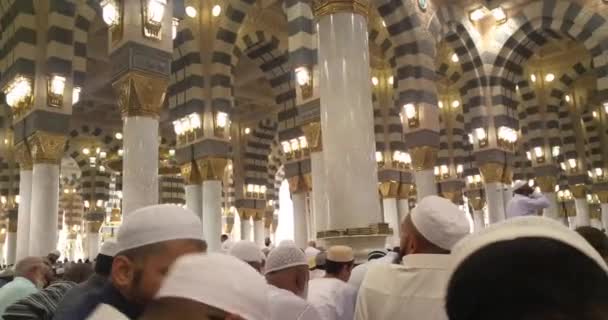 Muçulmanos orando dentro haram Masjid (mesquita) Nabawi em Al Madinah, Arábia Saudita — Vídeo de Stock